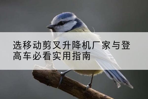 绥化电动升降机厂家-选移动剪叉升降机厂家与登高车必看实用指南