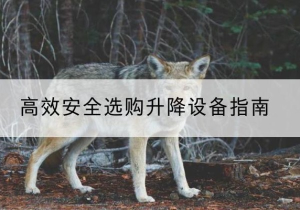 绥化升降货梯厂家推荐-*安全选购升降设备指南