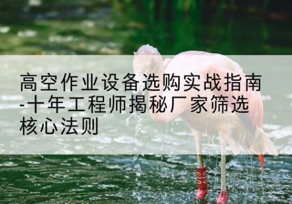 绥化剪叉式升降机厂家-高空作业设备选购实战指南-十年工程师揭秘厂家筛选核心法则
